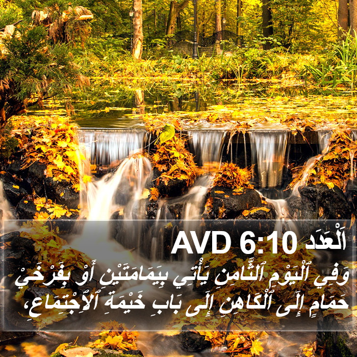 اَلْعَدَد 6:10 AVD Bible Study