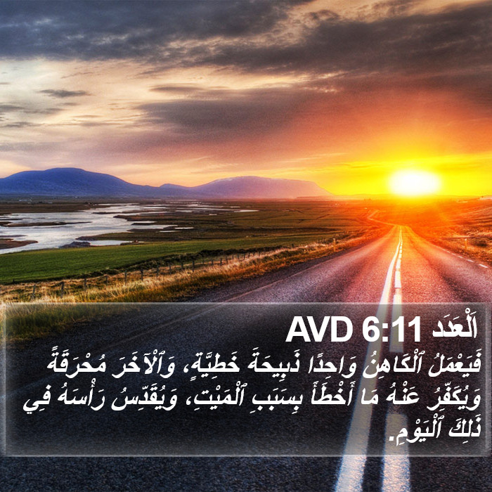 اَلْعَدَد 6:11 AVD Bible Study