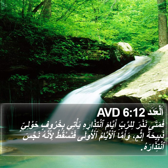 اَلْعَدَد 6:12 AVD Bible Study