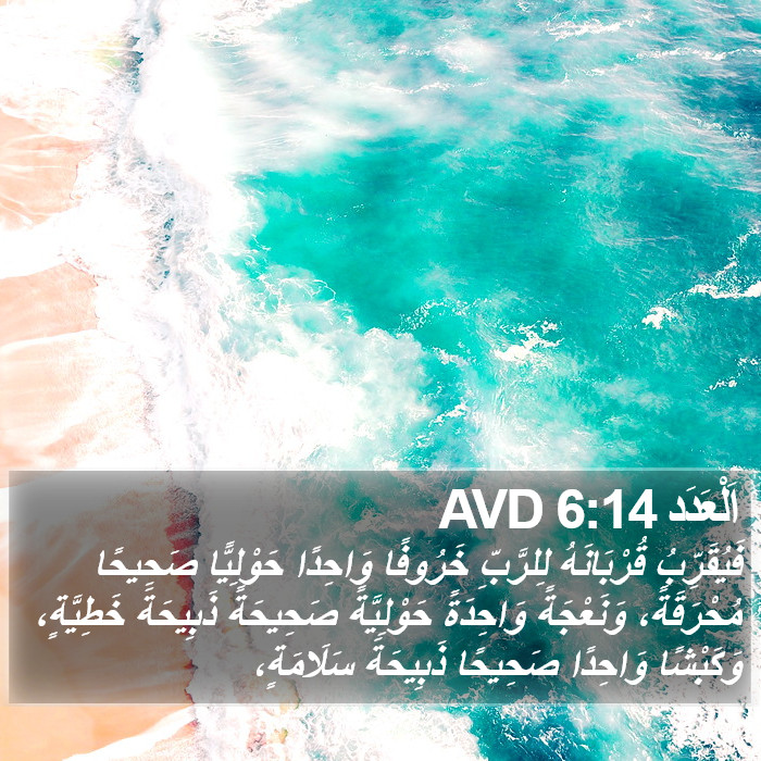 اَلْعَدَد 6:14 AVD Bible Study