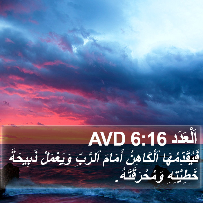 اَلْعَدَد 6:16 AVD Bible Study