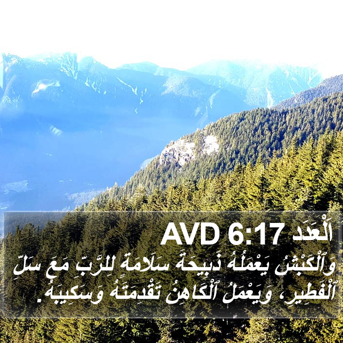 اَلْعَدَد 6:17 AVD Bible Study