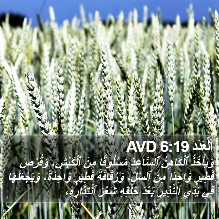 اَلْعَدَد 6:19 AVD Bible Study