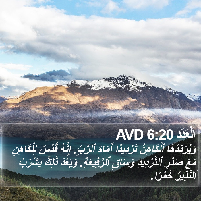 اَلْعَدَد 6:20 AVD Bible Study