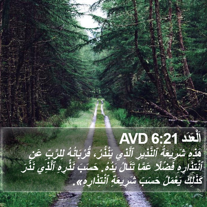 اَلْعَدَد 6:21 AVD Bible Study