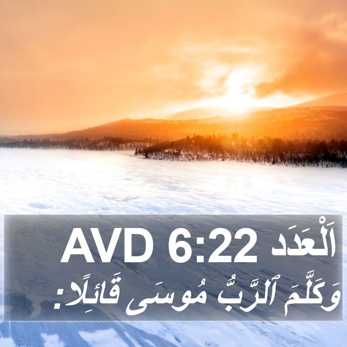 اَلْعَدَد 6:22 AVD Bible Study