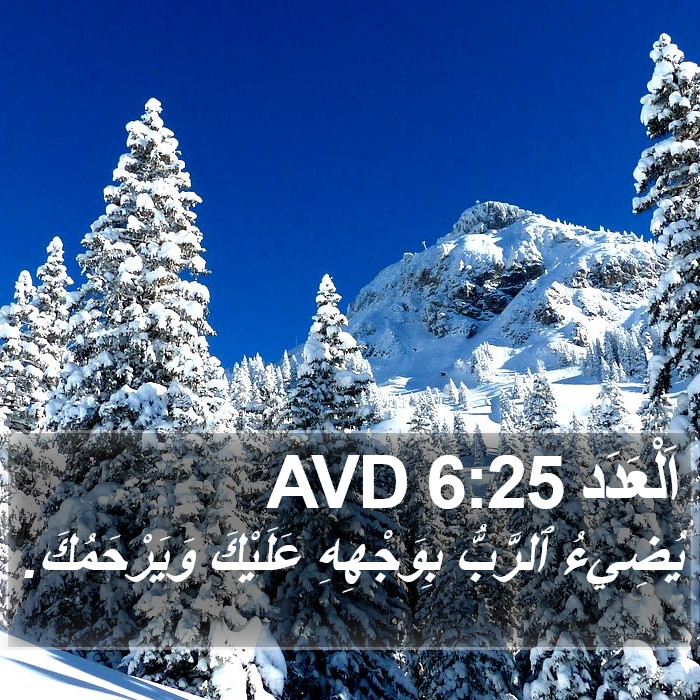 اَلْعَدَد 6:25 AVD Bible Study