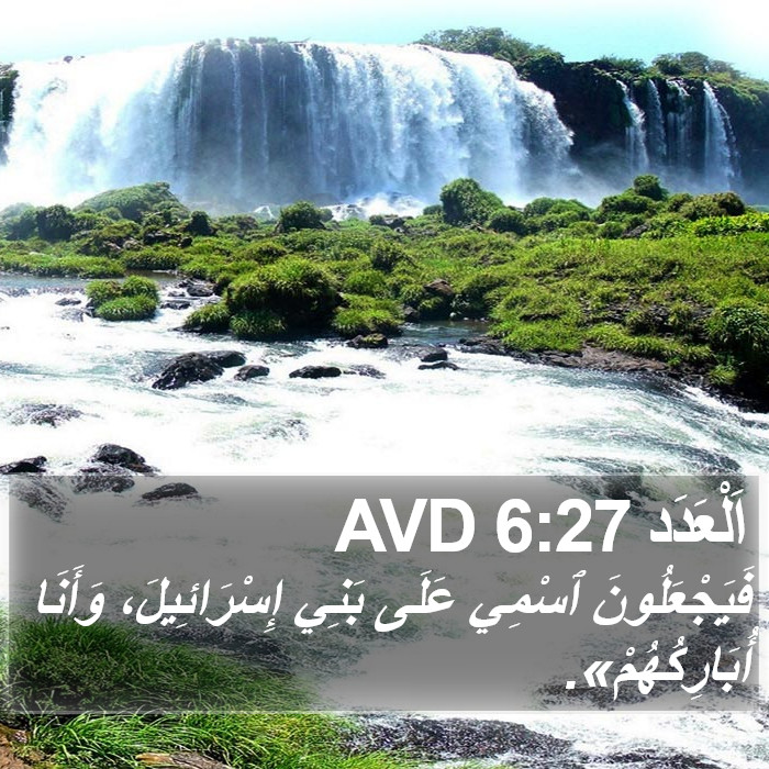 اَلْعَدَد 6:27 AVD Bible Study