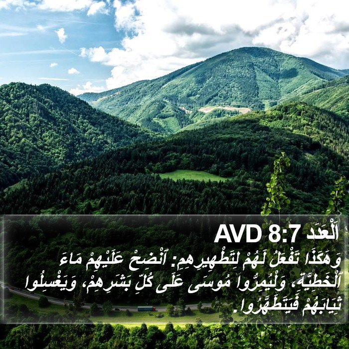 اَلْعَدَد 8:7 AVD Bible Study