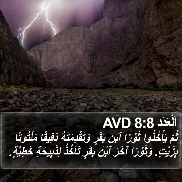 اَلْعَدَد 8:8 AVD Bible Study
