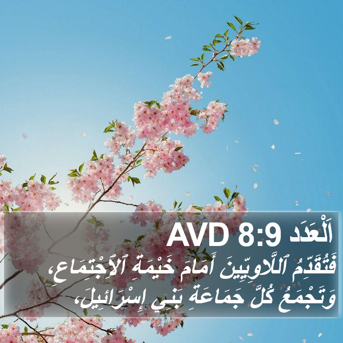 اَلْعَدَد 8:9 AVD Bible Study