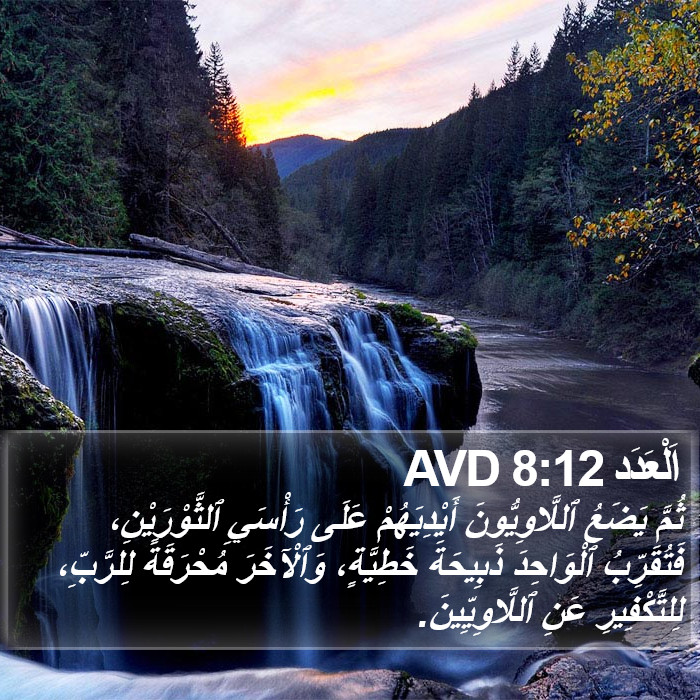 اَلْعَدَد 8:12 AVD Bible Study