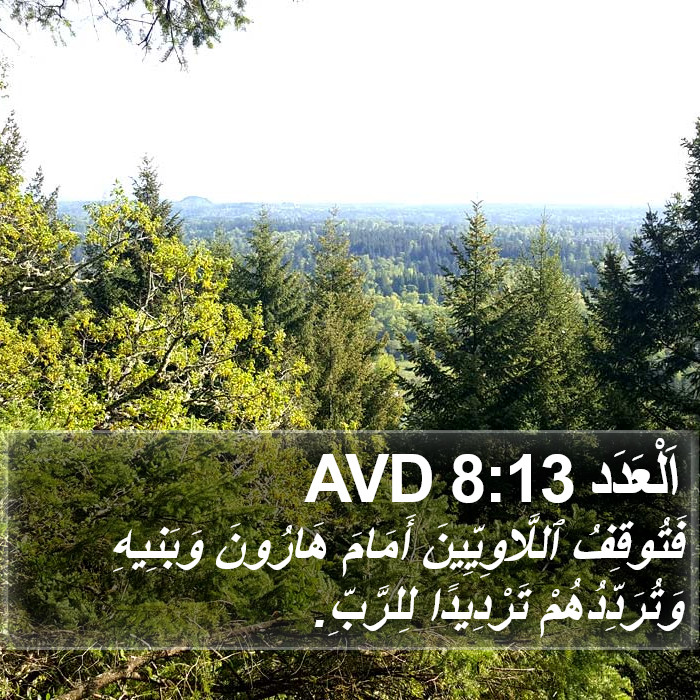 اَلْعَدَد 8:13 AVD Bible Study