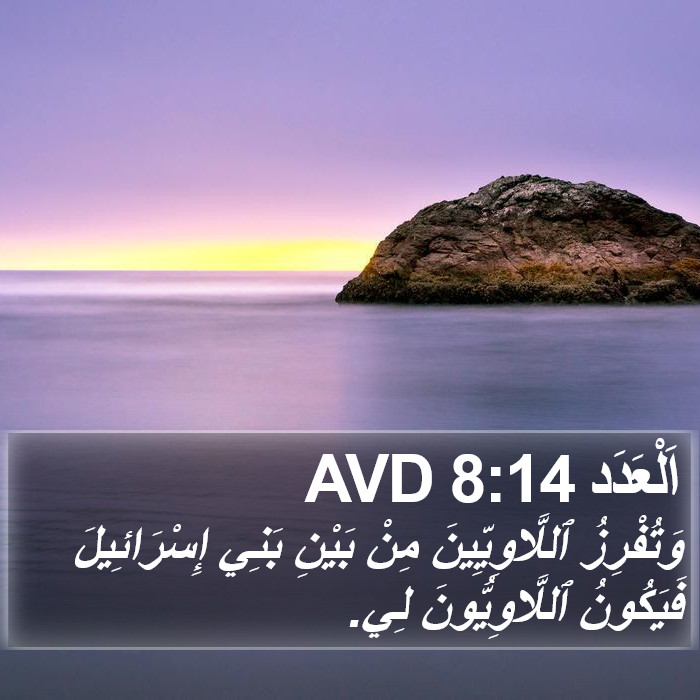 اَلْعَدَد 8:14 AVD Bible Study