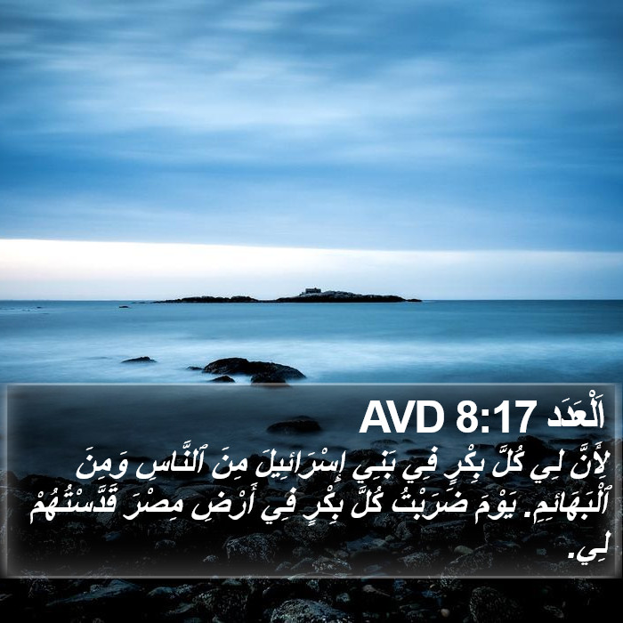 اَلْعَدَد 8:17 AVD Bible Study