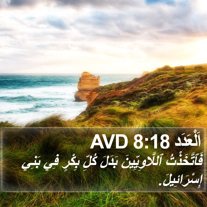اَلْعَدَد 8:18 AVD Bible Study