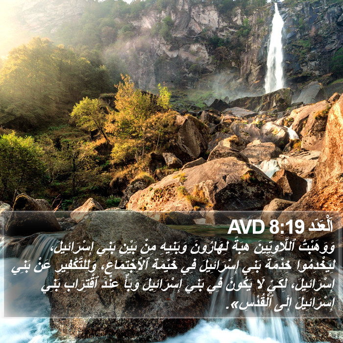 اَلْعَدَد 8:19 AVD Bible Study