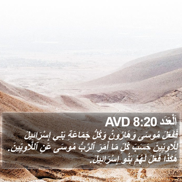 اَلْعَدَد 8:20 AVD Bible Study