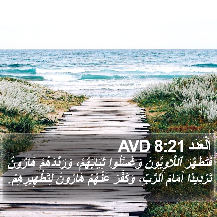 اَلْعَدَد 8:21 AVD Bible Study