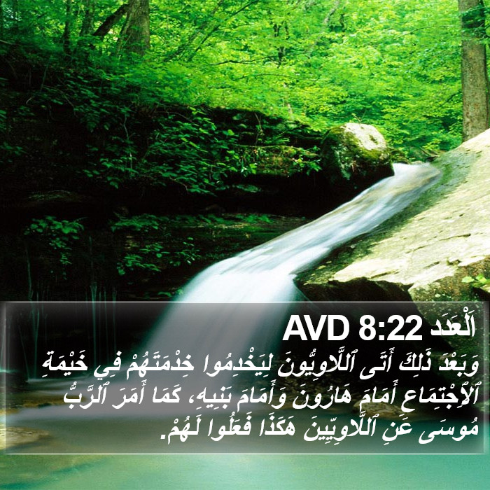 اَلْعَدَد 8:22 AVD Bible Study