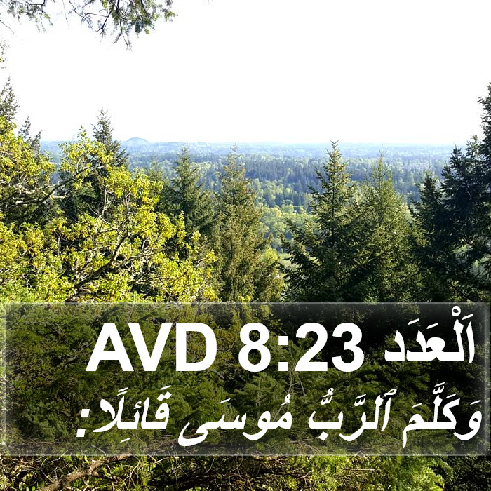 اَلْعَدَد 8:23 AVD Bible Study