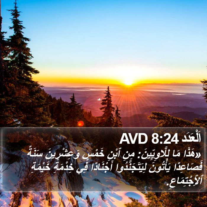 اَلْعَدَد 8:24 AVD Bible Study