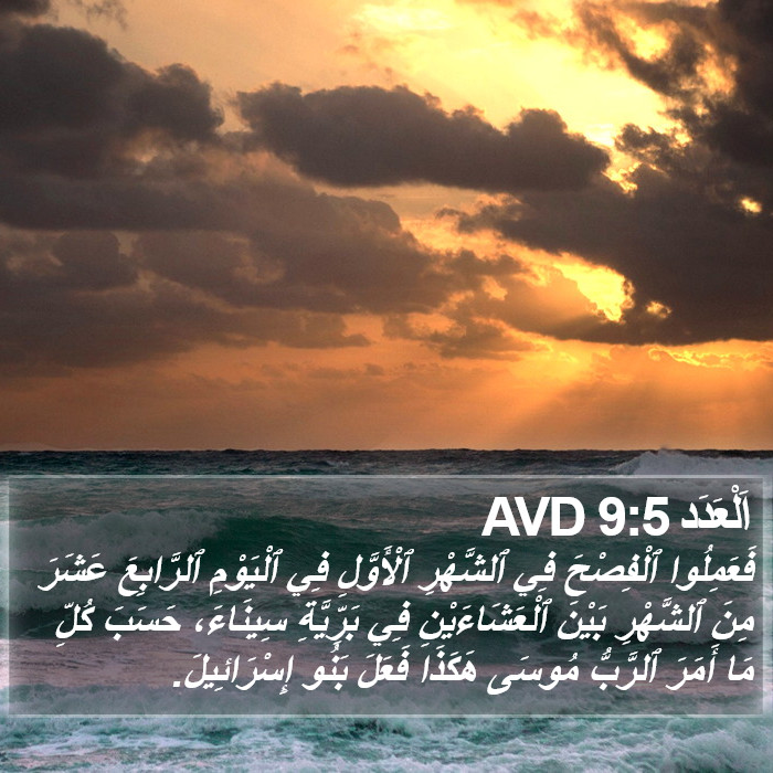 اَلْعَدَد 9:5 AVD Bible Study