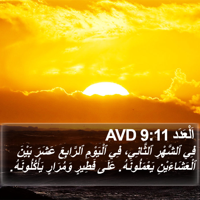 اَلْعَدَد 9:11 AVD Bible Study