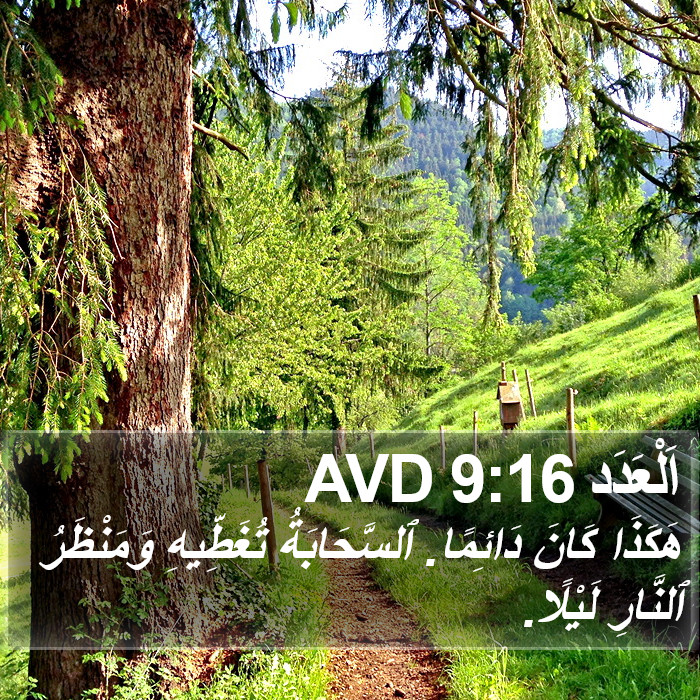 اَلْعَدَد 9:16 AVD Bible Study