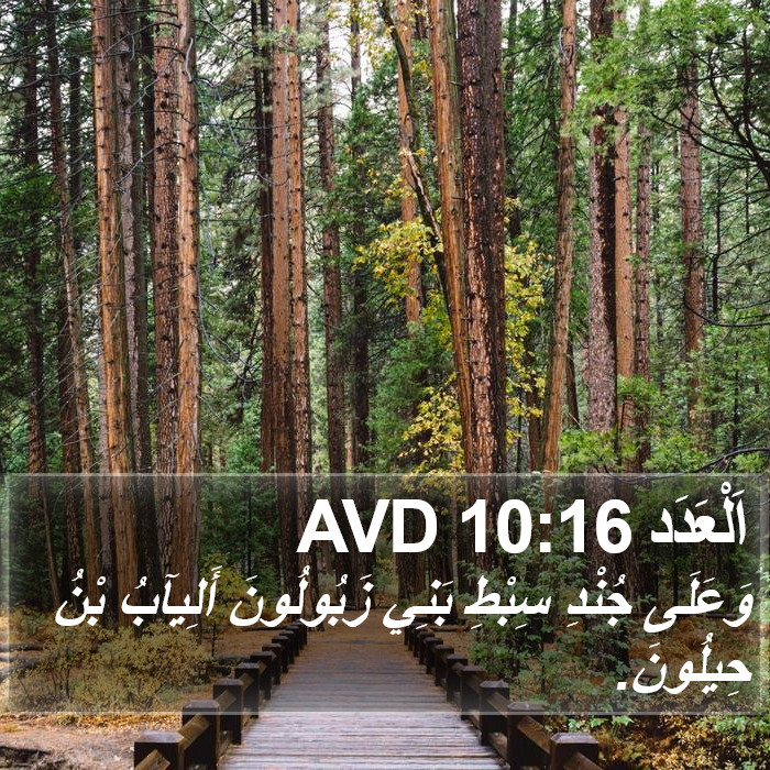 اَلْعَدَد 10:16 AVD Bible Study