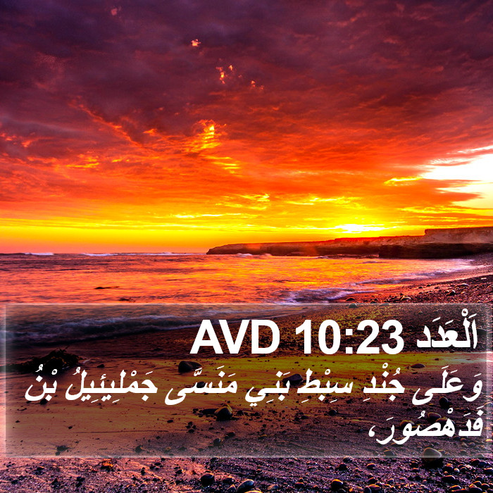 اَلْعَدَد 10:23 AVD Bible Study