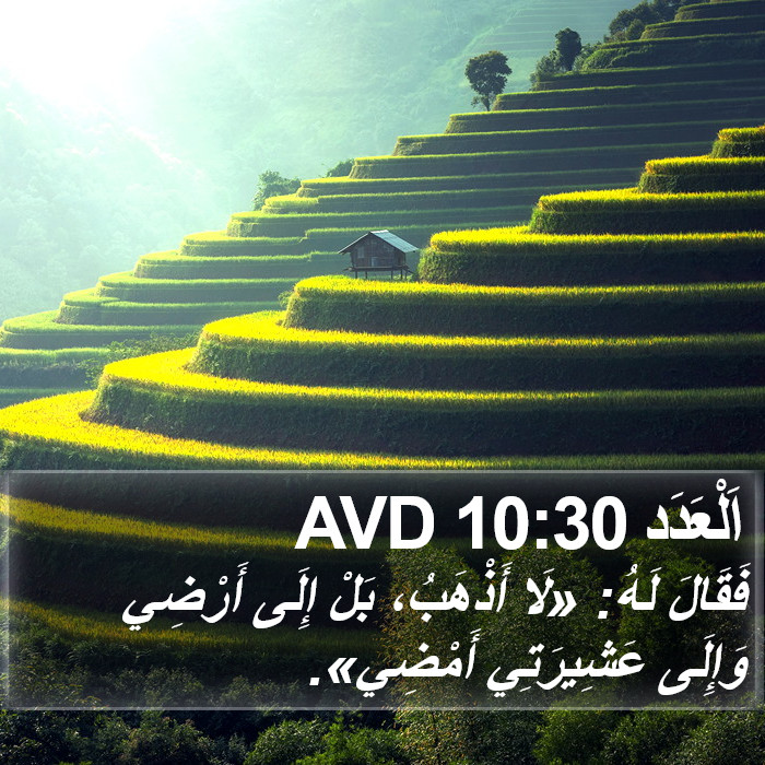 اَلْعَدَد 10:30 AVD Bible Study