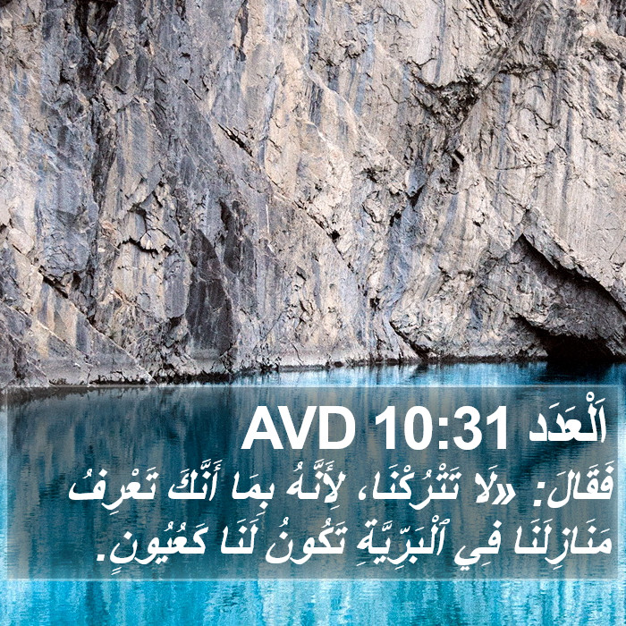اَلْعَدَد 10:31 AVD Bible Study