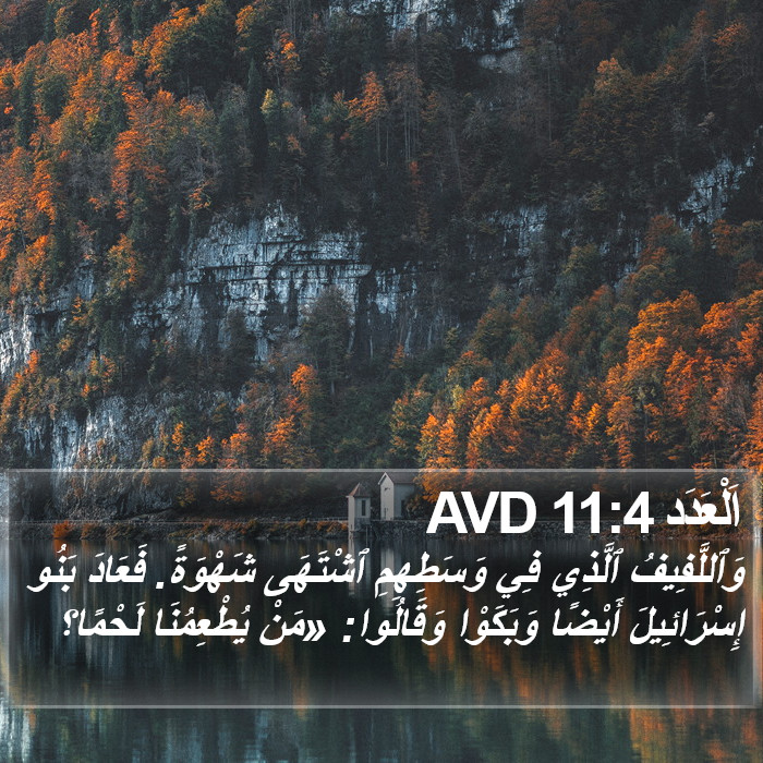 اَلْعَدَد 11:4 AVD Bible Study