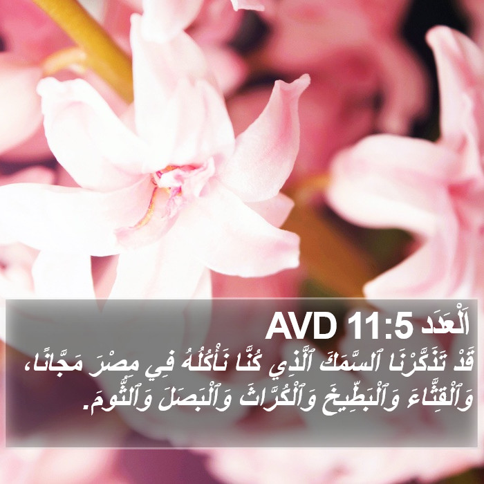 اَلْعَدَد 11:5 AVD Bible Study