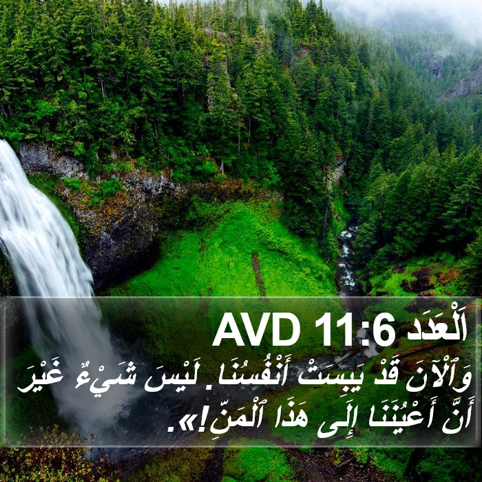 اَلْعَدَد 11:6 AVD Bible Study