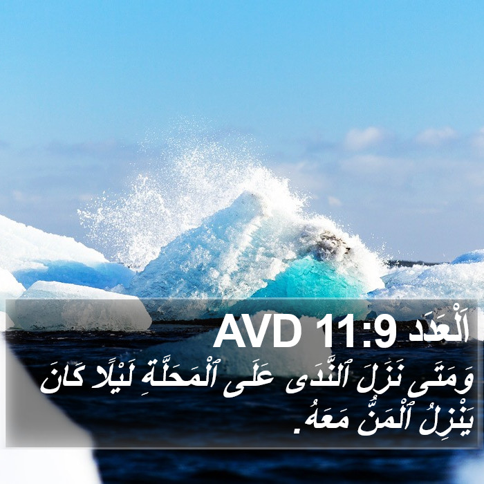 اَلْعَدَد 11:9 AVD Bible Study