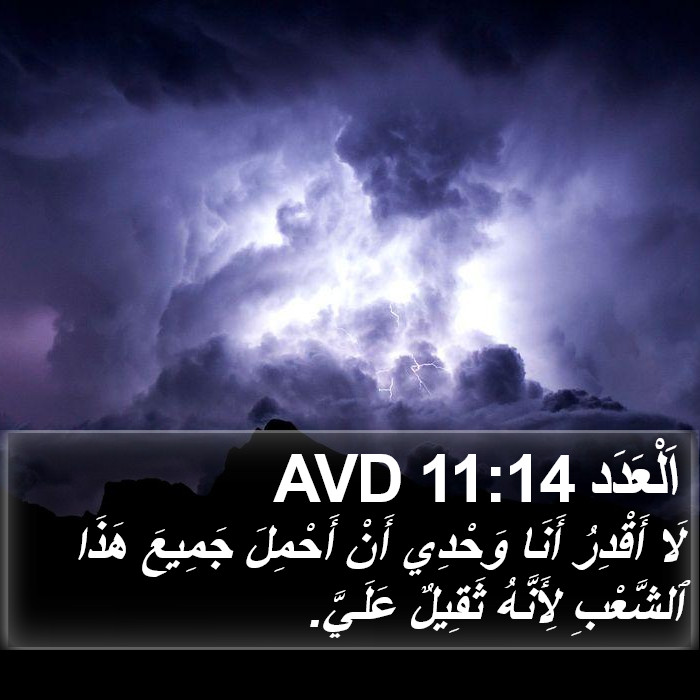 اَلْعَدَد 11:14 AVD Bible Study