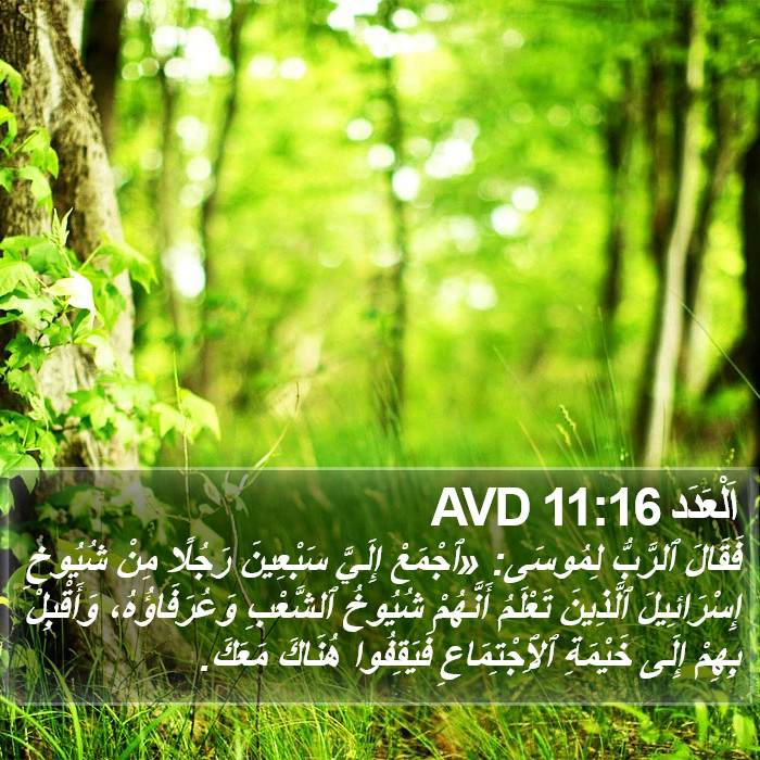 اَلْعَدَد 11:16 AVD Bible Study