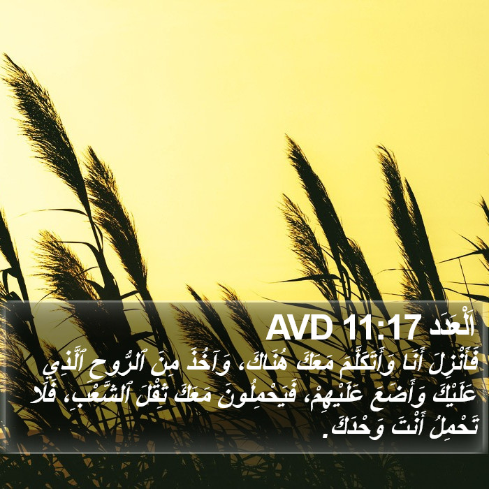 اَلْعَدَد 11:17 AVD Bible Study