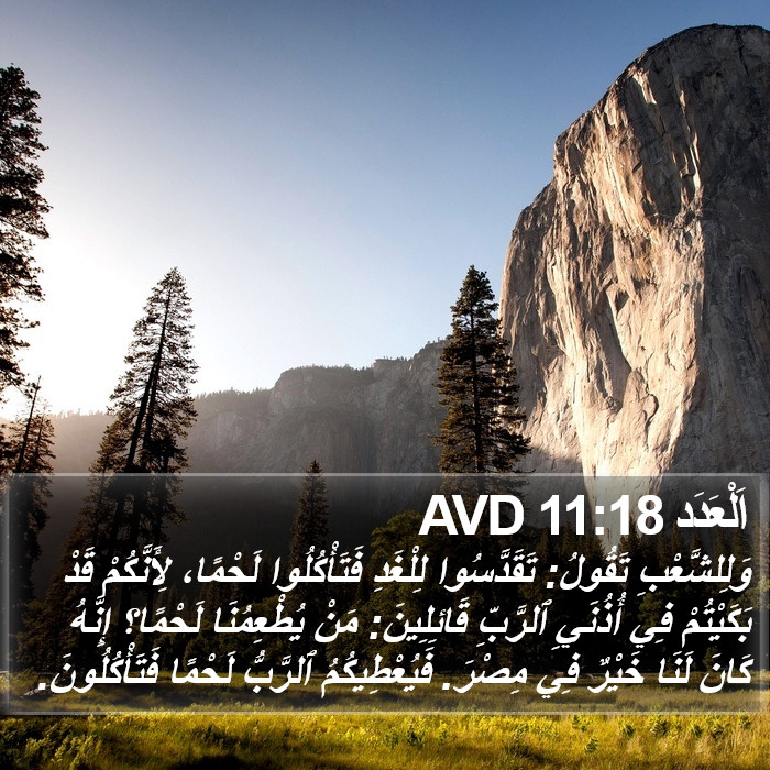 اَلْعَدَد 11:18 AVD Bible Study