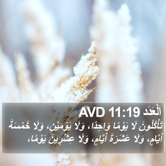 اَلْعَدَد 11:19 AVD Bible Study