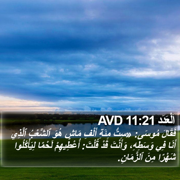 اَلْعَدَد 11:21 AVD Bible Study