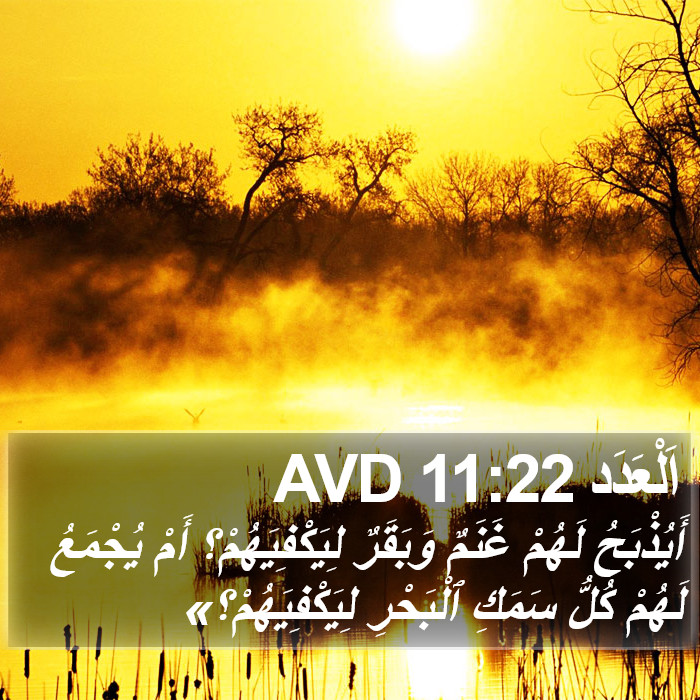 اَلْعَدَد 11:22 AVD Bible Study