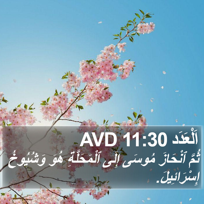 اَلْعَدَد 11:30 AVD Bible Study