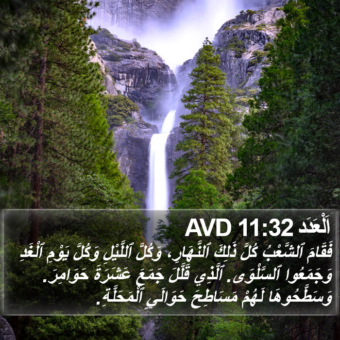 اَلْعَدَد 11:32 AVD Bible Study