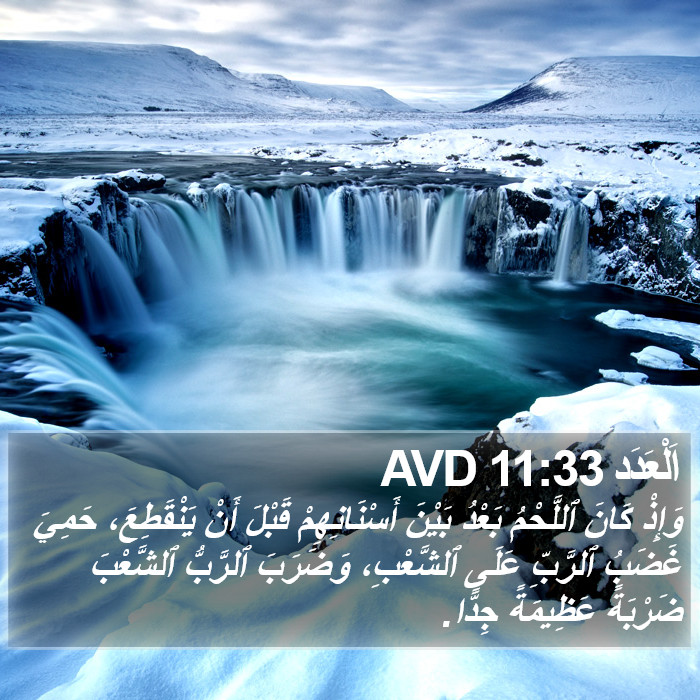 اَلْعَدَد 11:33 AVD Bible Study