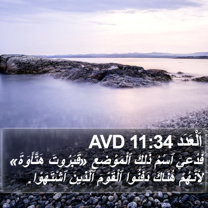 اَلْعَدَد 11:34 AVD Bible Study