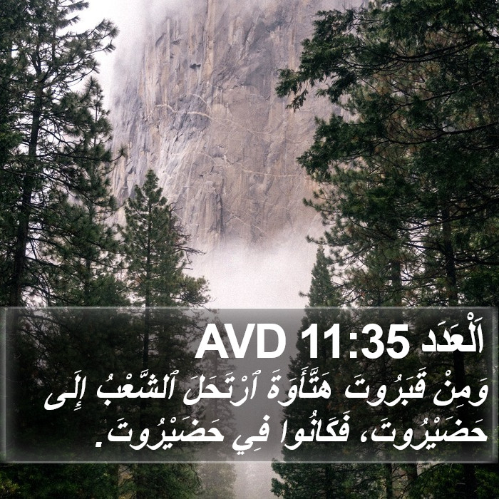 اَلْعَدَد 11:35 AVD Bible Study