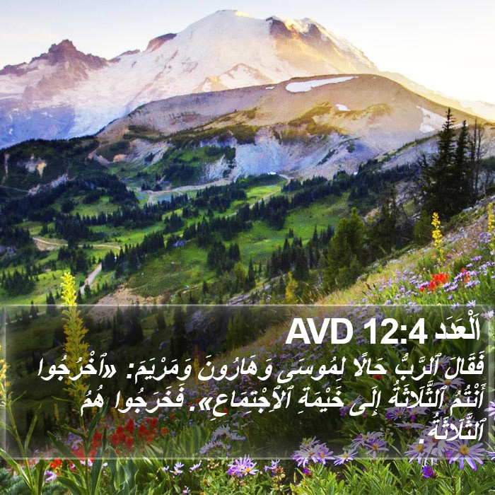 اَلْعَدَد 12:4 AVD Bible Study